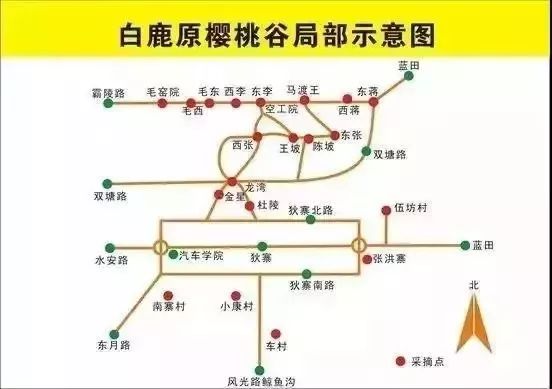 西安樱桃采摘全攻略,西安樱桃采摘时间表