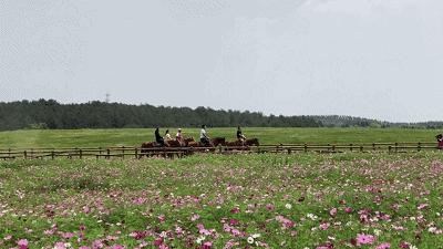 六一童趣优惠,老同学六一快乐童心永驻