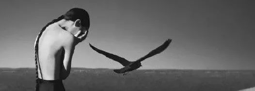 每日好诗竹笋,每日好诗大全