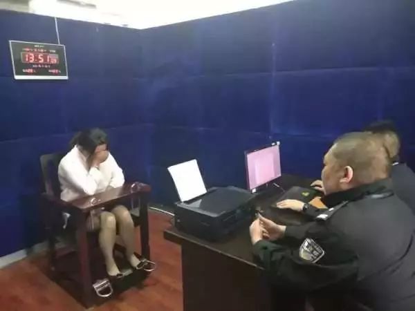 鸿雁知天下最新新闻,新闻早知道鸿雁知天下