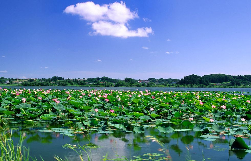 一起走吧粤语歌曲,一起走吧背起行囊