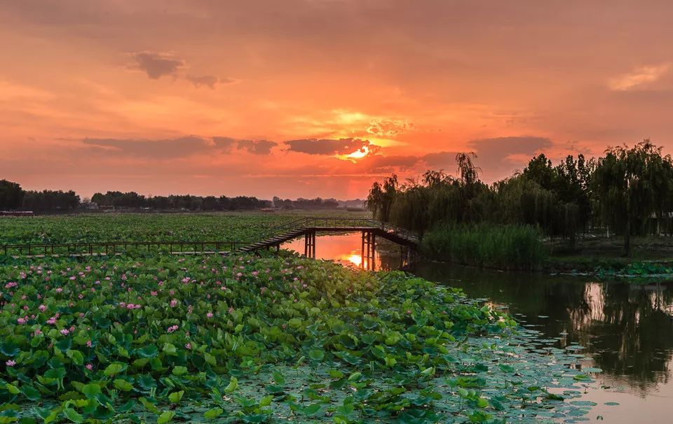 一起走吧粤语歌曲,一起走吧背起行囊