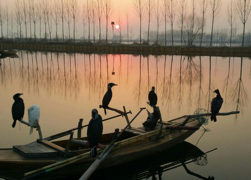 一起走吧粤语歌曲,一起走吧背起行囊