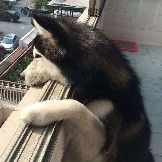 朋友圈设成三天可见代表着什么,有时候把朋友圈设成三天可见