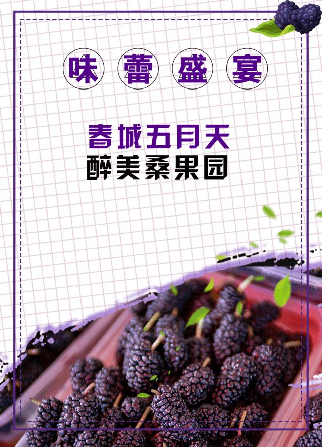 AreYouReady~~~第六届桑果紫酒节火爆来袭！采桑葚，赏演出，如此“葚”好！