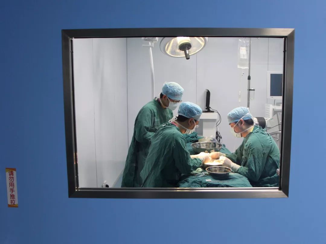 镇江人餐桌上都有,4岁男孩吃了两勺这个菜,抢救了两周才活过来!当心!