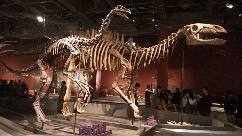 观澜湖夏令营,深圳观澜湖夏令营基地