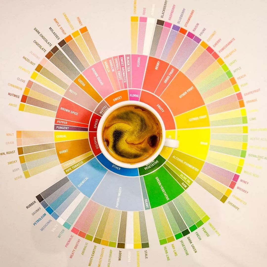 为啥咖啡那么苦啊,为什么咖啡那么苦闻起来那么香