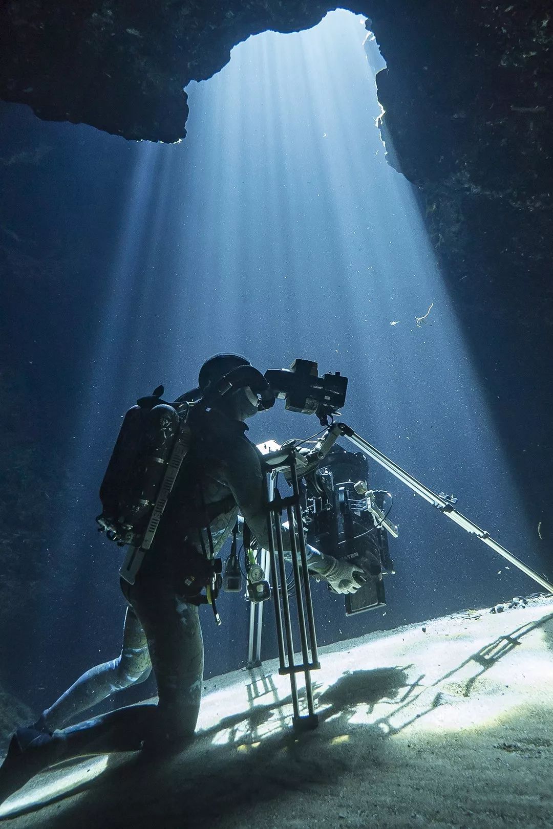 2019美国财富500强排名,美国历年500强数量