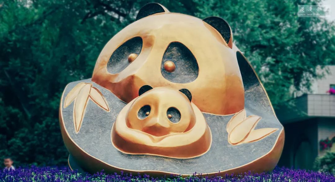 就业经验分享,就业创业的方法和技巧