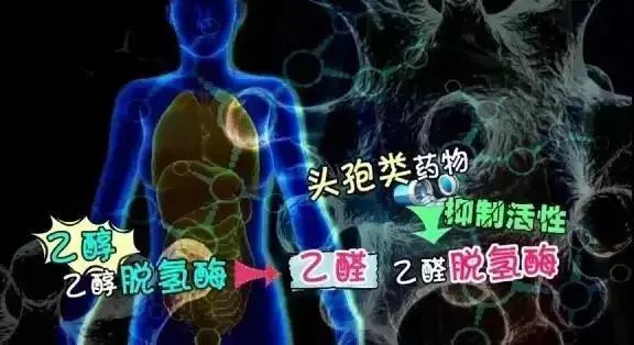 风油精创可贴真的防晕车吗,风油精加创可贴是真的吗
