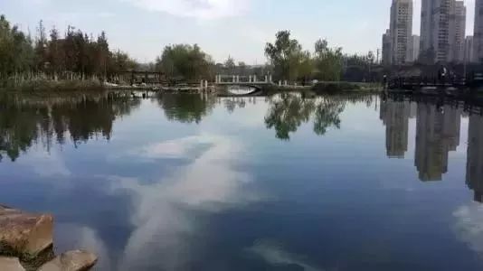 玩转大连森林公园,逛遍大连森林公园