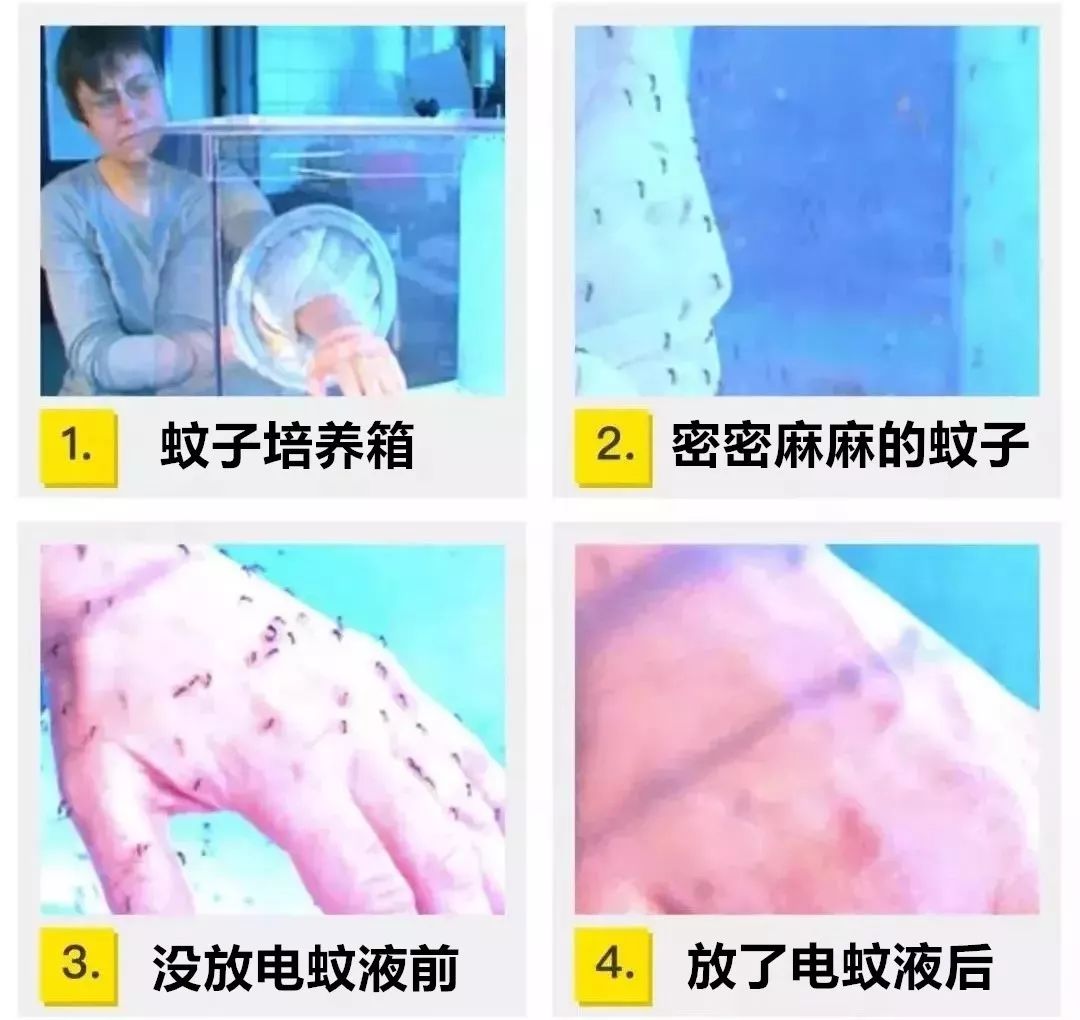 蚊香杀虫剂都扔掉吧,夏天消灭蚊子用蚊香还是杀虫剂