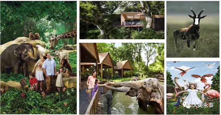 长隆野生动物园园区图,长隆野生动物园实景图