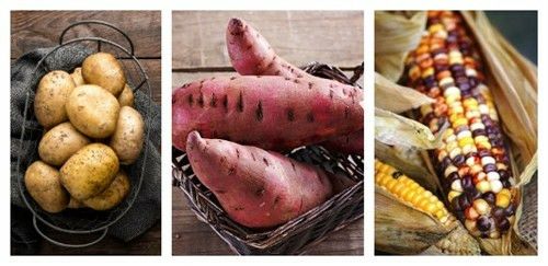 细菌病毒感染导致癌症,20多种癌症