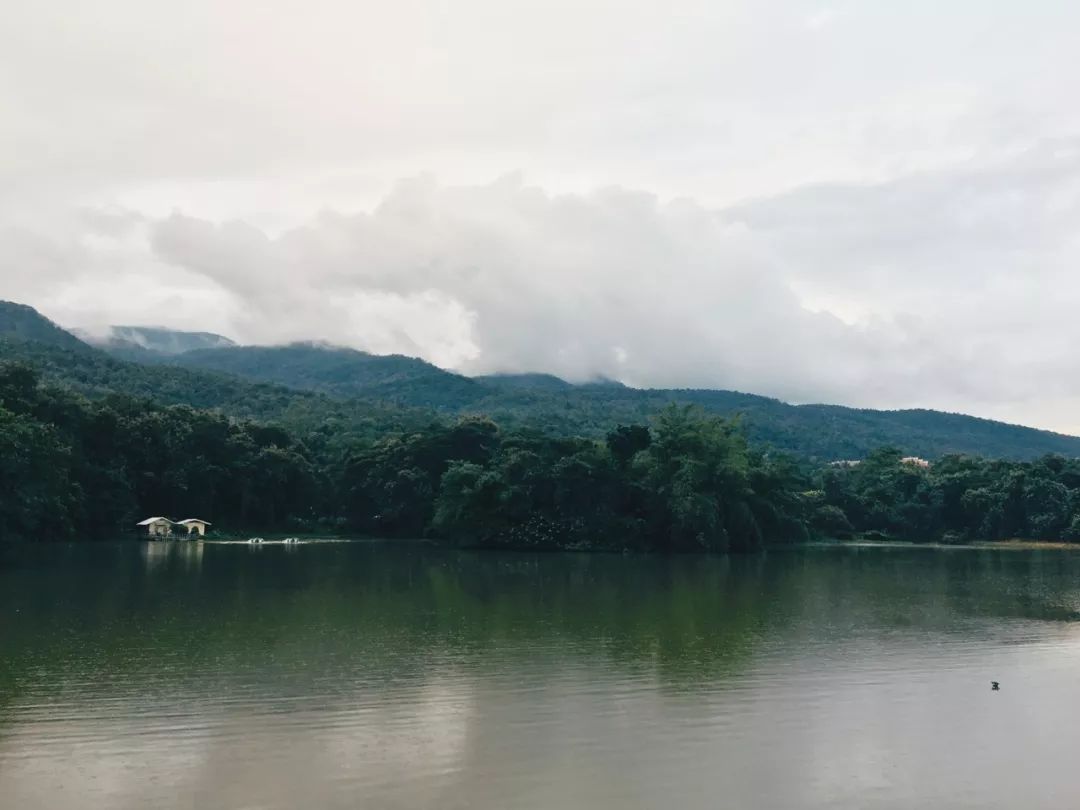 上品女人的五种表现,怎样才是上品男人和上品女人