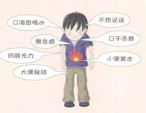 小满应季吃什么,南方小满吃什么