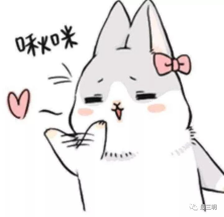 刚刚，三明--佛山正式通航！吃喝玩乐都有啥?（小编为你备好佛山特产）