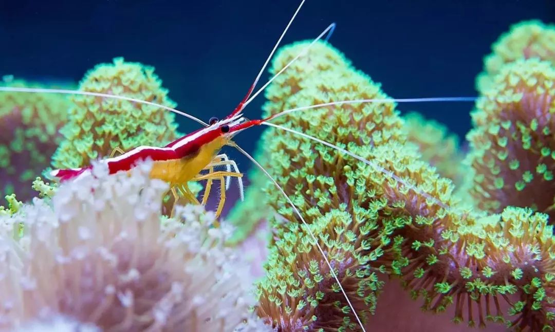 哥稳住啊，千万别在执迷不悟了！！