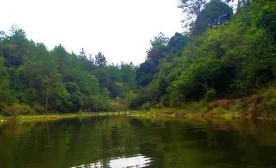 南平除了武夷山还有哪些景点,福建南平市武夷山风景区游记