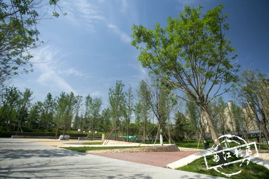 初夏可以去哪旅行,夏天周末去哪儿玩