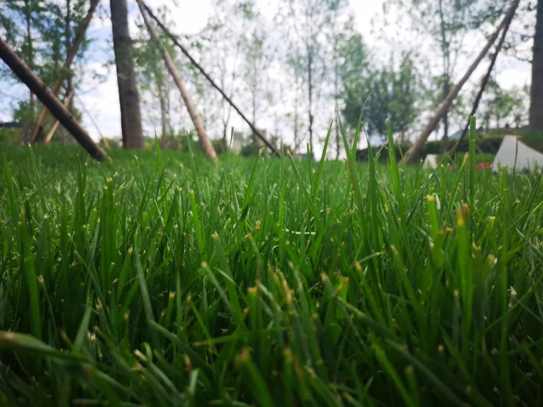 初夏可以去哪旅行,夏天周末去哪儿玩