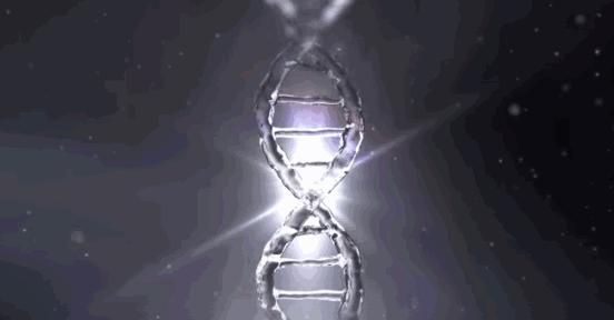 粉丝提问口服胶原蛋白真的有用吗,粉丝问坚果怎么选