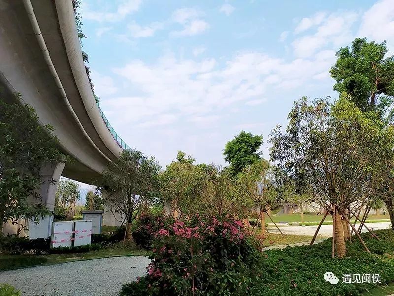 闽侯兜风,兜风去了原视频