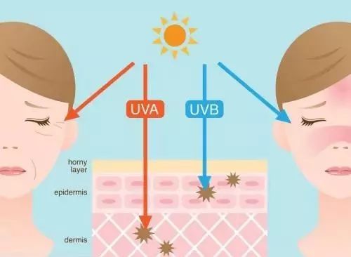 泰国防晒界“黑马”出击，防晒保湿，7天白成一道光
