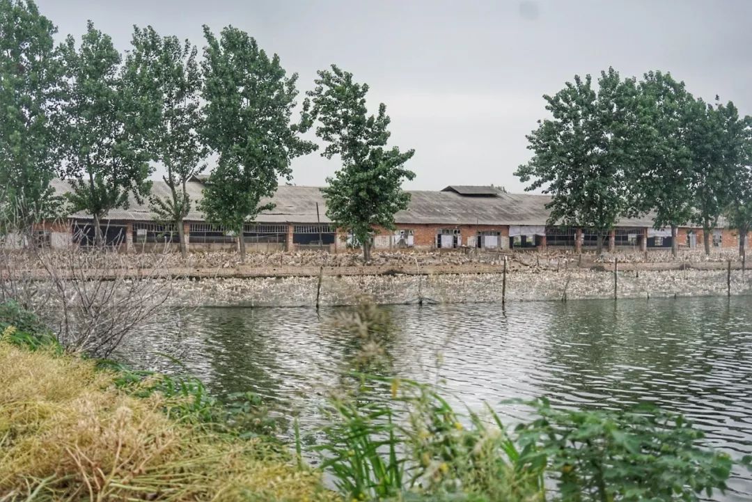 五月种草季,五月种草