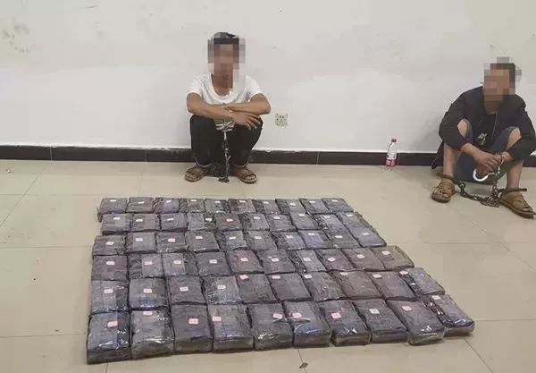 毒品对缉毒犬有没有影响,缉毒犬是不是让它有毒瘾