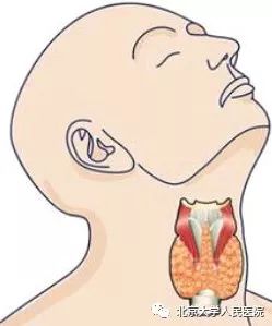 甲状腺病知识宣传周,甲状腺知识宣传周文章