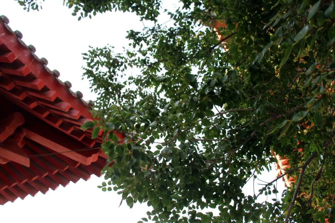 夏天哪个海岛最凉快,高温天气适合去哪旅游