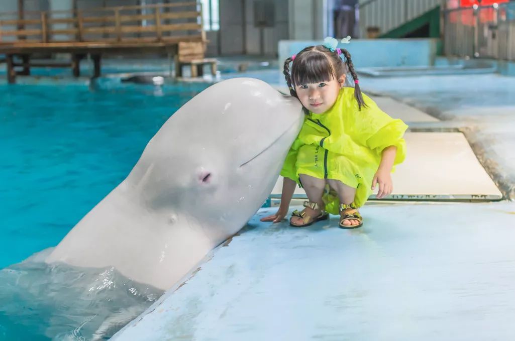 鄞州附近的旅游景点推荐,鄞州一日游必去景点