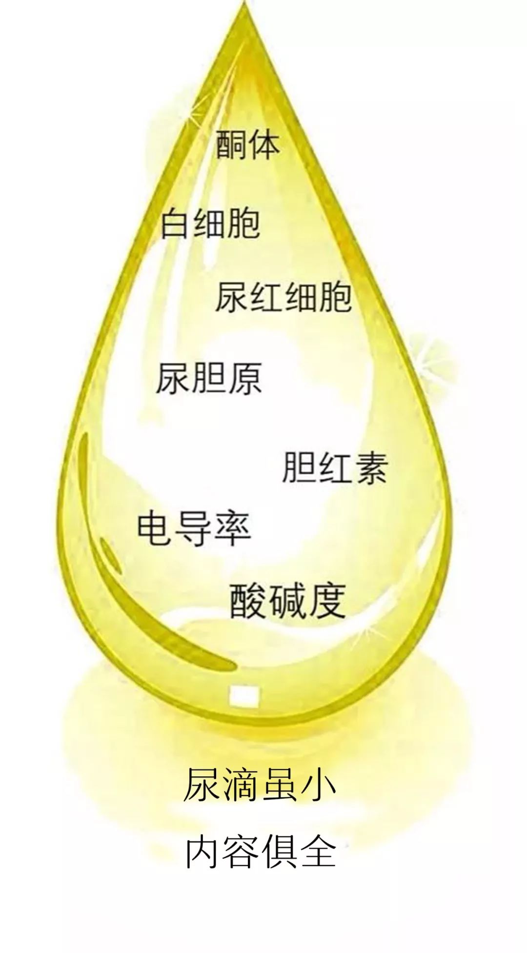 尿里有细菌但是没有白细胞,尿里有细菌但是尿培养没事