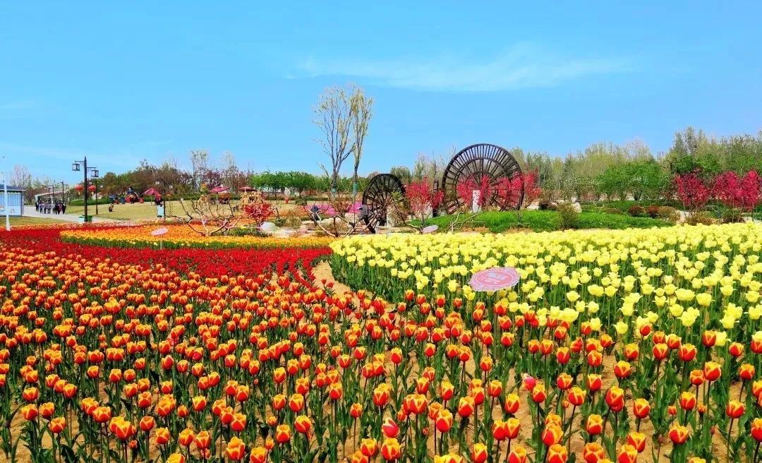 周末去哪儿快来这里尽情撒欢吧,周末周边游去一趟自己想去的地方