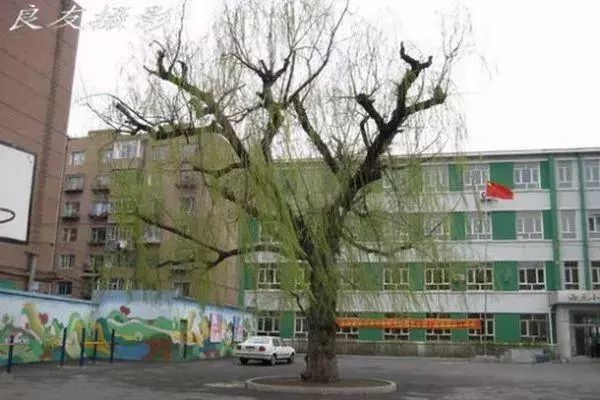 长春十大中学名校,长春前十名小学名校