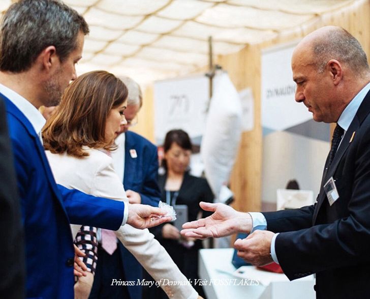 丹麦皇室用什么枕头好 (丹麦最好用的枕头)