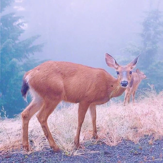 十二星座六月运势分析,十二星座六月份运势表