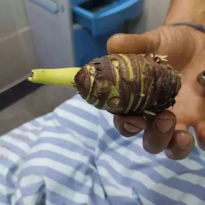 碰一下就中毒的动物,碰一下都能中毒的东西