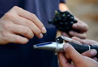 山西省食品品牌企业二十强故事之怡园：每一瓶葡萄酒都值得尊重