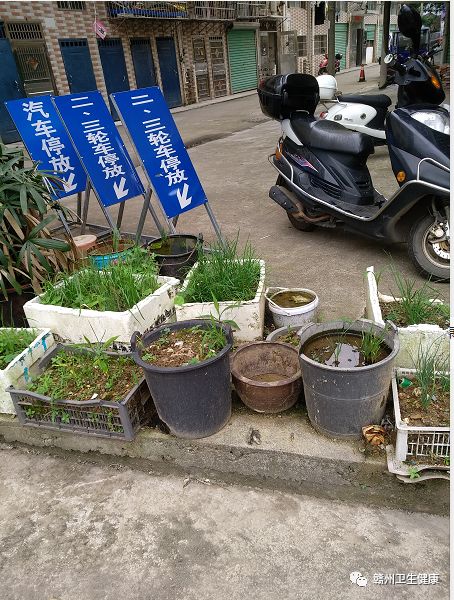 创卫新闻郭素芳,创卫现在的情况