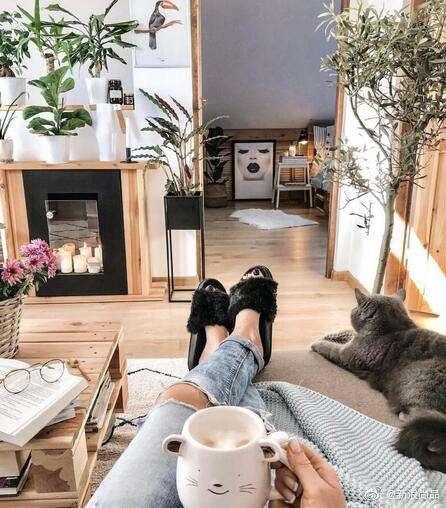 喜欢热闹却也享受安静,喜欢热闹和繁华也享受平静和孤独