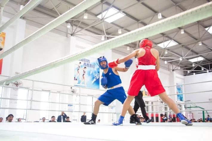 青浦区青少年拓展训练营,上海青浦区训练营