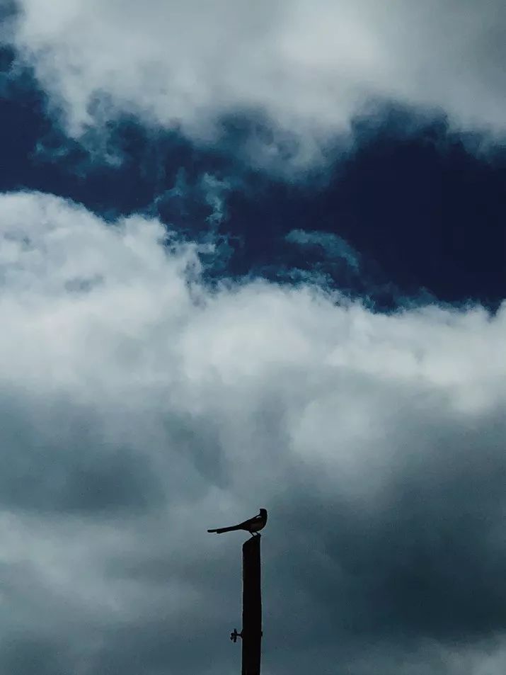 手机拍照构图方法和技巧,手机拍风景构图技巧