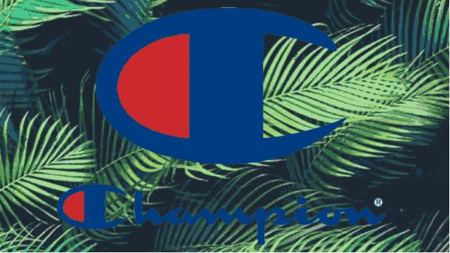 champion明星穿搭,全新champion冠军日版圆领卫衣