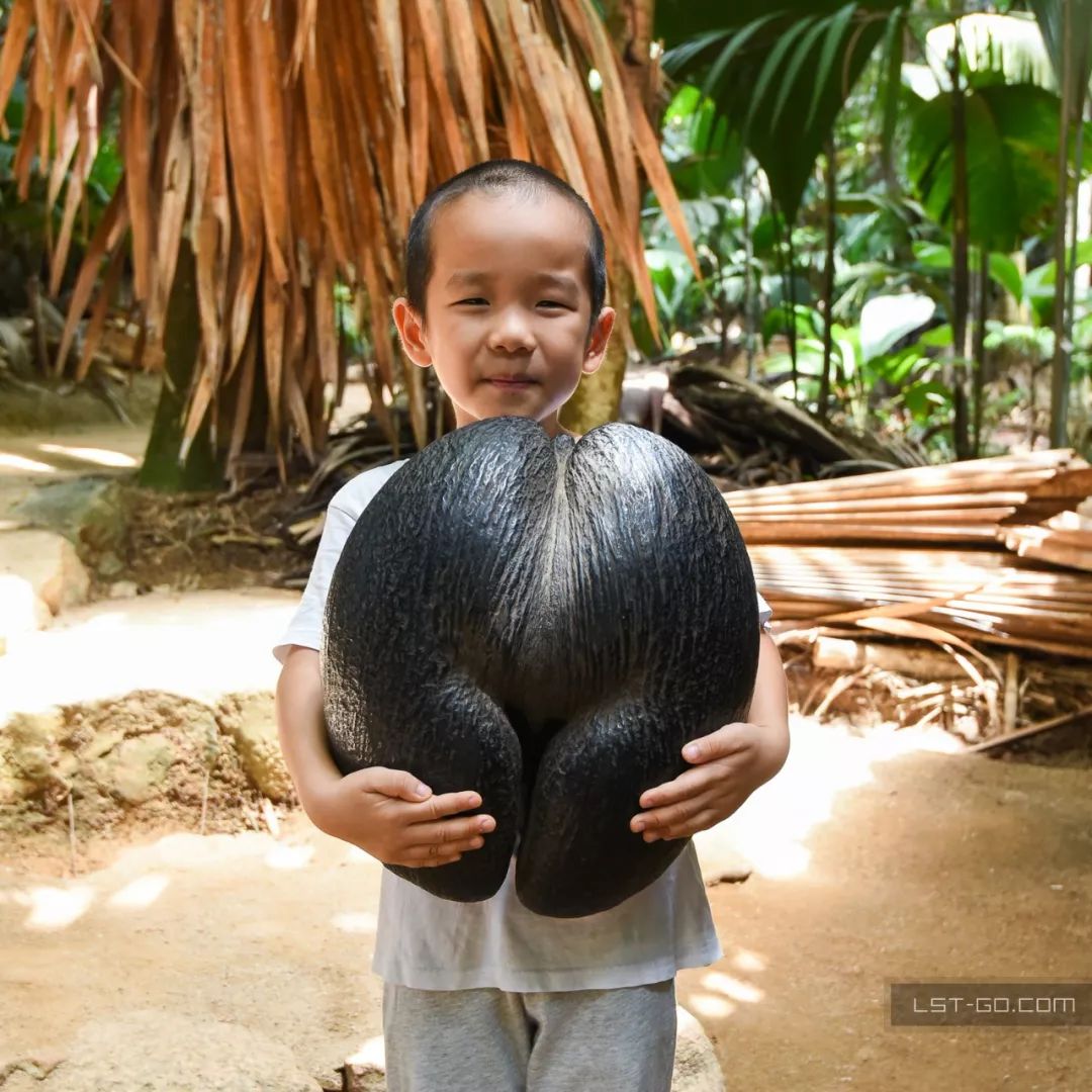 这些海岛人少景美不输马代,马尔代夫一价全包亲子游岛屿推荐