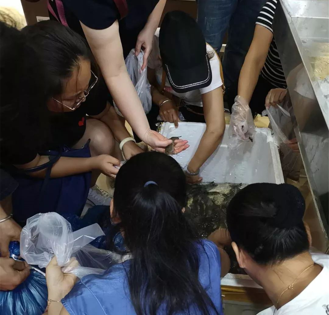 各种美味海鲜挑战你的味蕾,海鲜美食快来尝个鲜