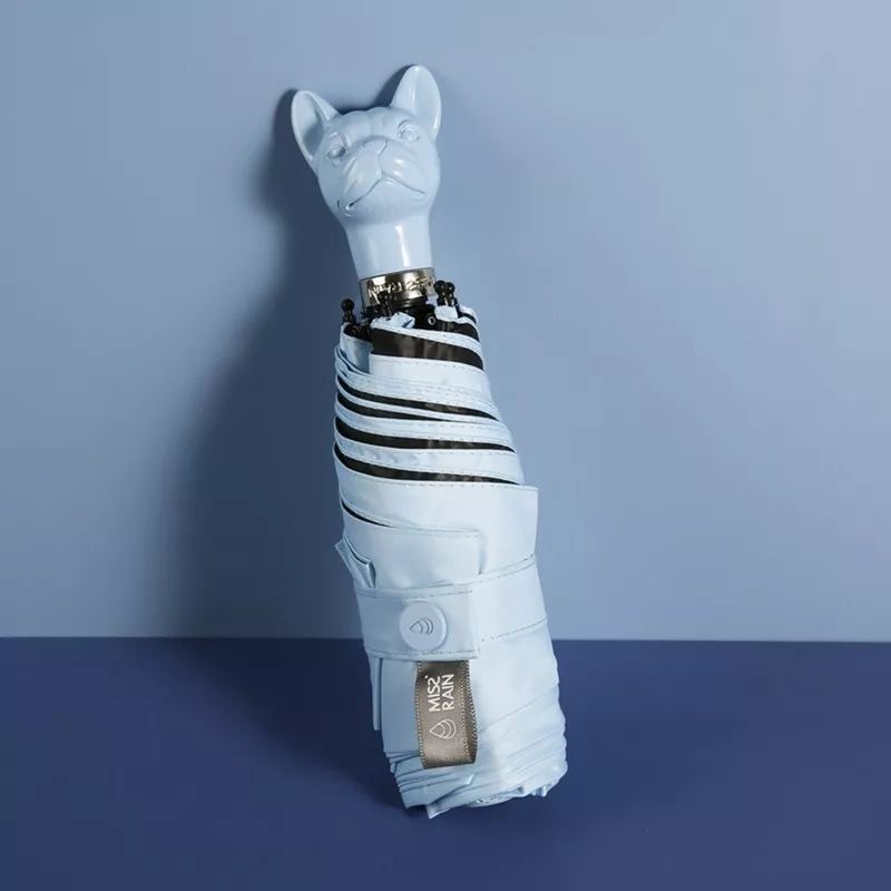 不惧台风的雨伞,无惧风雨的摩托车雨衣