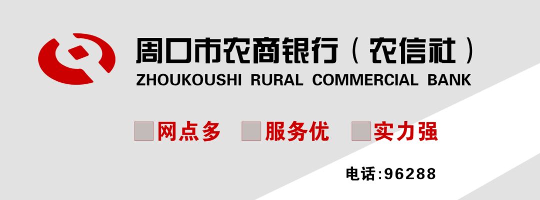 沈丘县教师招聘信息最新,沈丘县公开招聘教师
